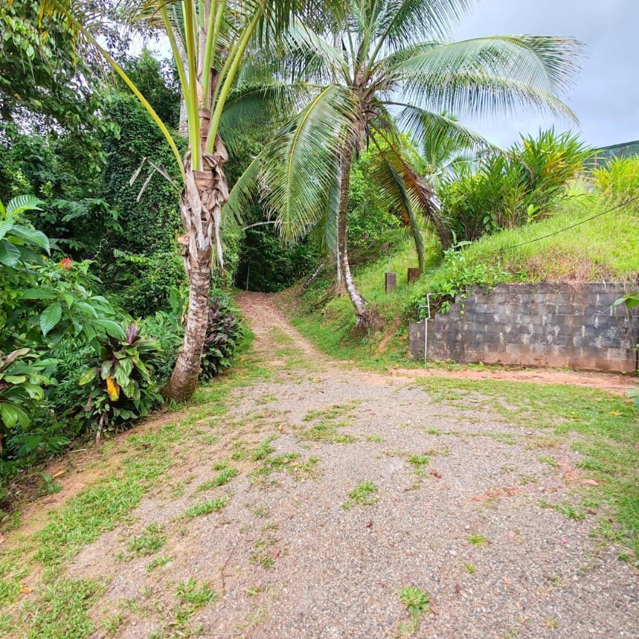 Corcovado Green Cabin & House Драке Экстерьер фото