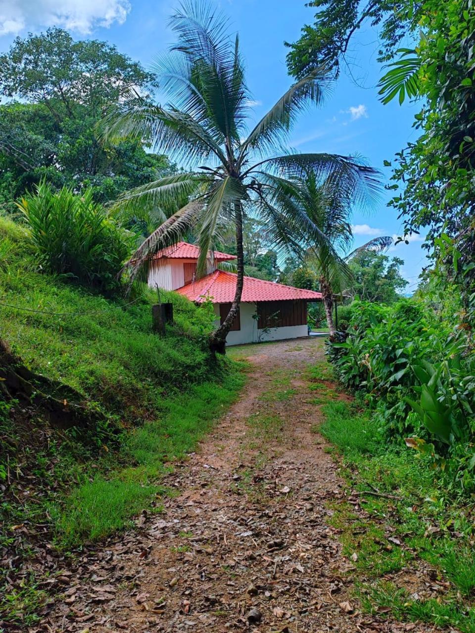 Corcovado Green Cabin & House Драке Экстерьер фото